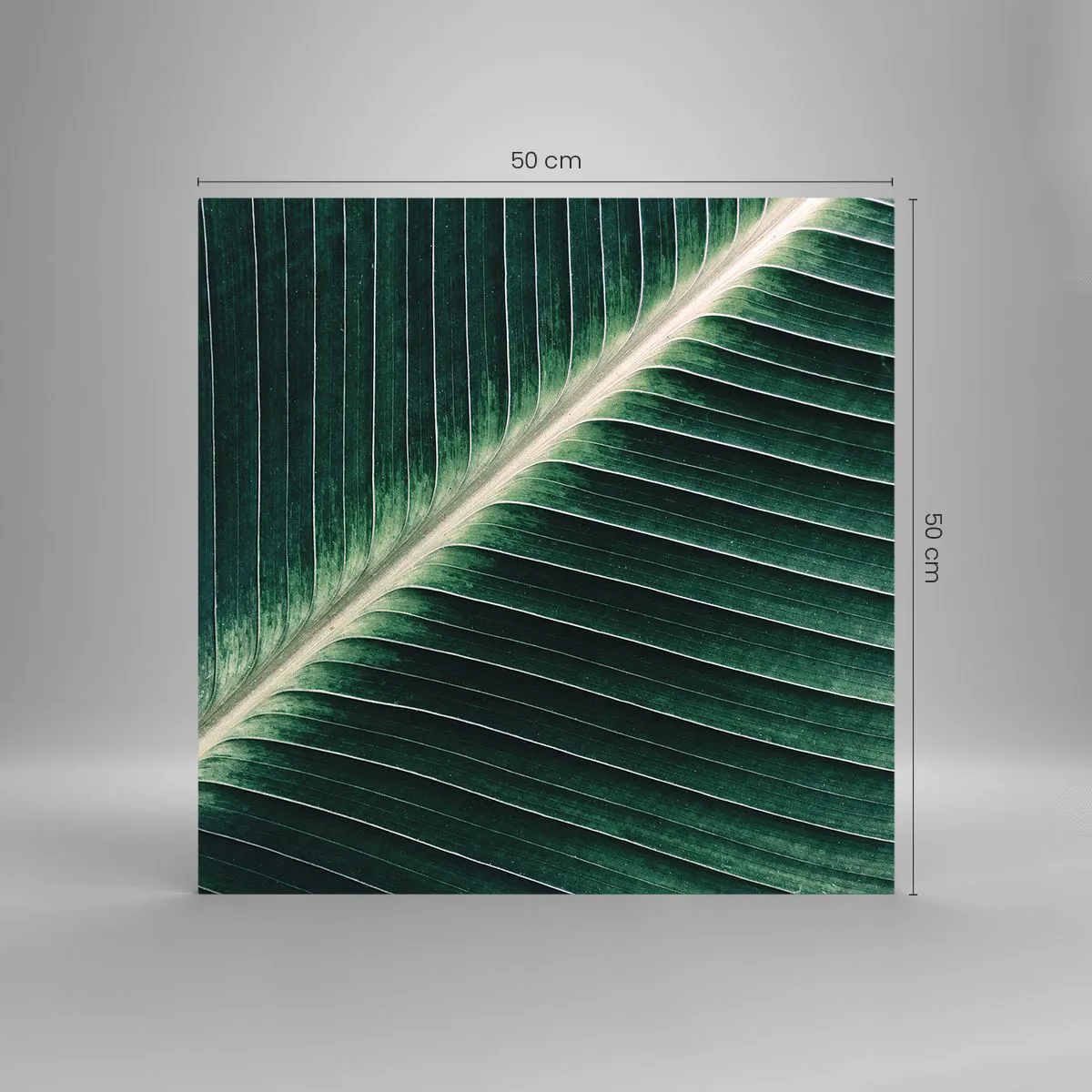 Üveg kép - A természet ritmusa - 50x50 cm