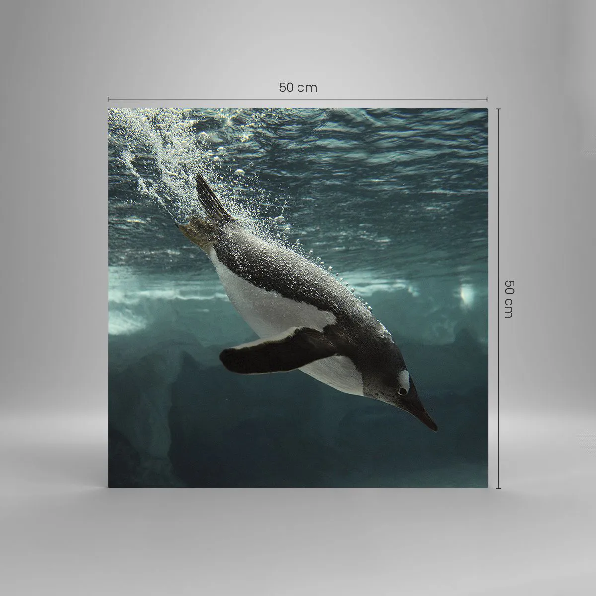 Impression sur verre - Image sur verre - Bienvenue dans mon monde - 50x50 cm