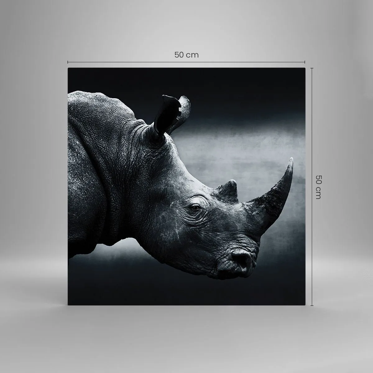 Glasbild - Bild auf glas - Richtiges Profil - 50x50 cm