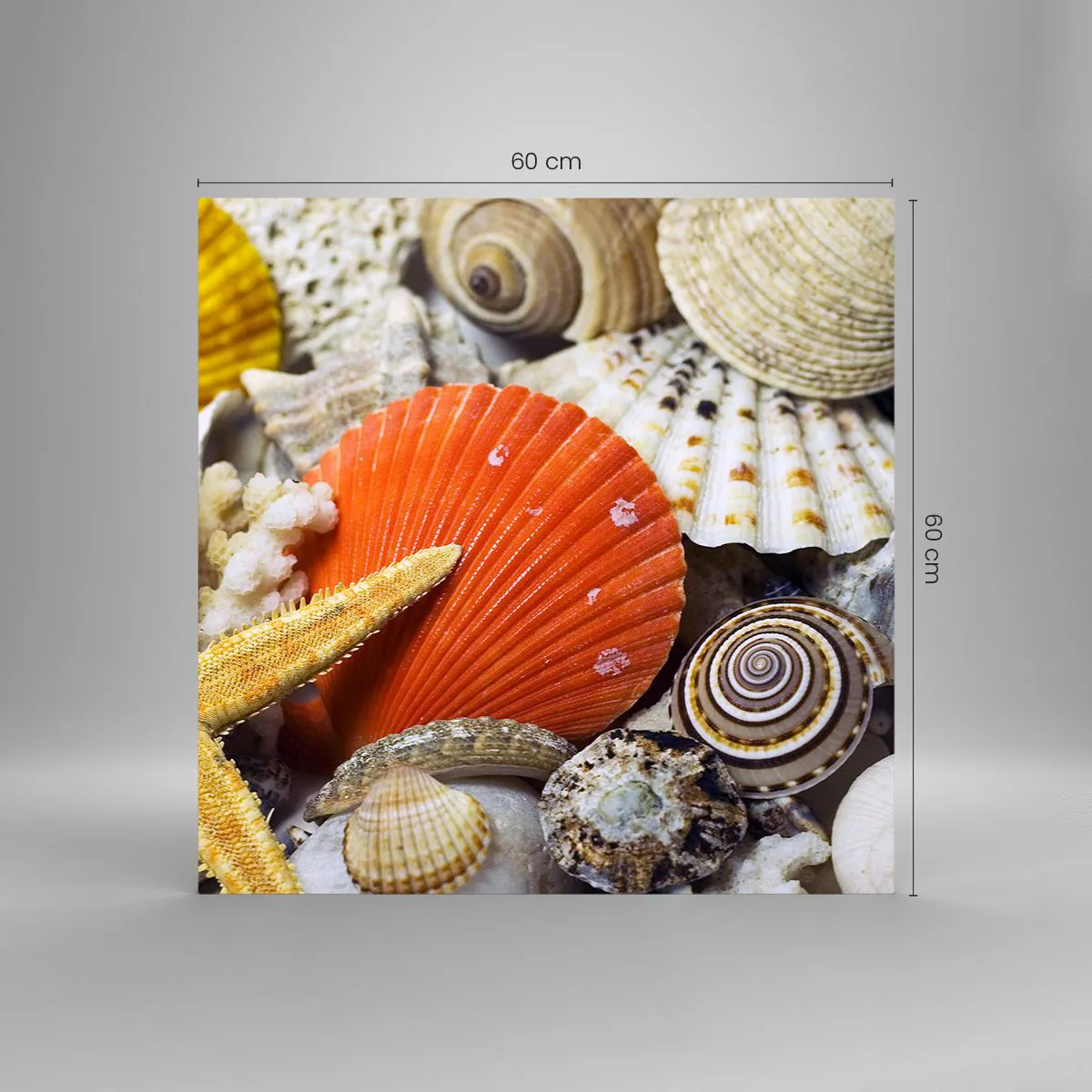 Quadro su vetro - Tesori dell'oceano - 60x60 cm