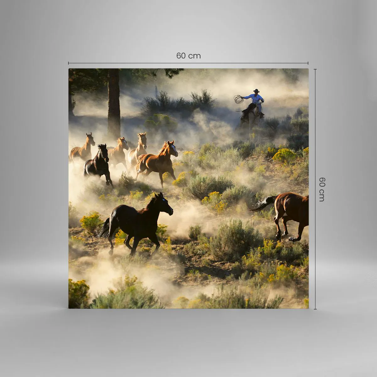 Glasbild - Bild auf glas - Rivalität – Freiheit oder männliche Stärke? - 60x60 cm