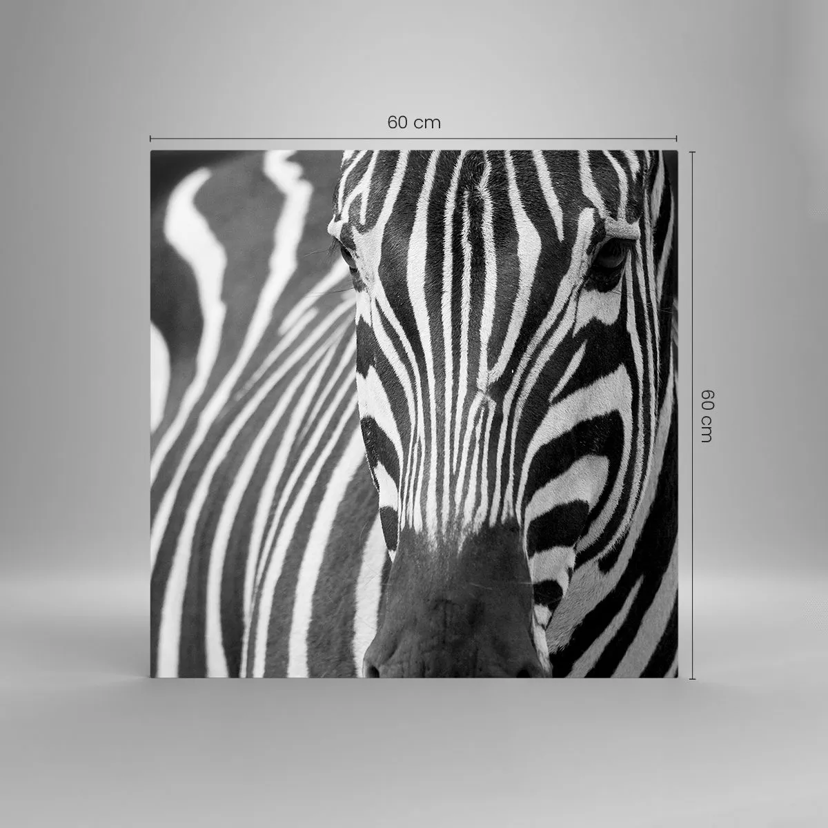 Impression sur verre - Image sur verre - Le monde est noir et blanc - 60x60 cm