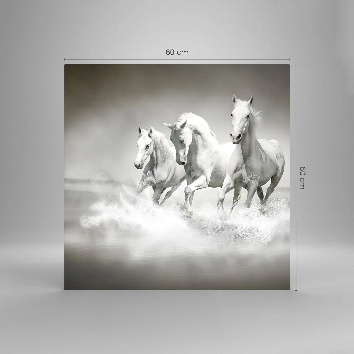 Glass picture - White Madness - 60x60 cm