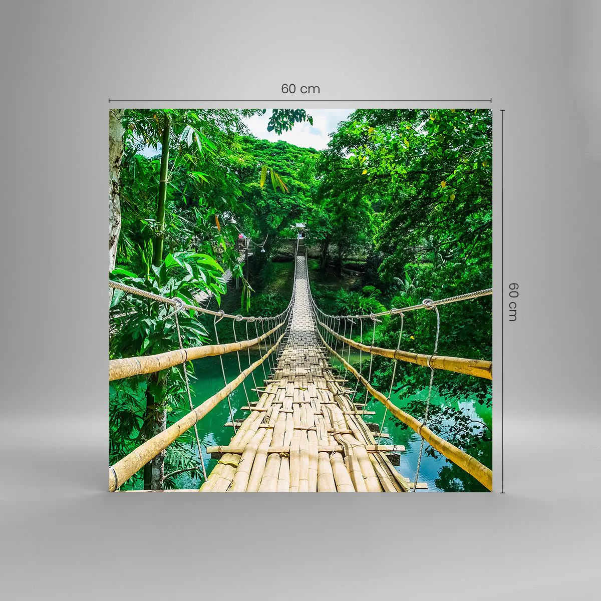 Üveg kép - Majomhíd a zöld felett - 60x60 cm