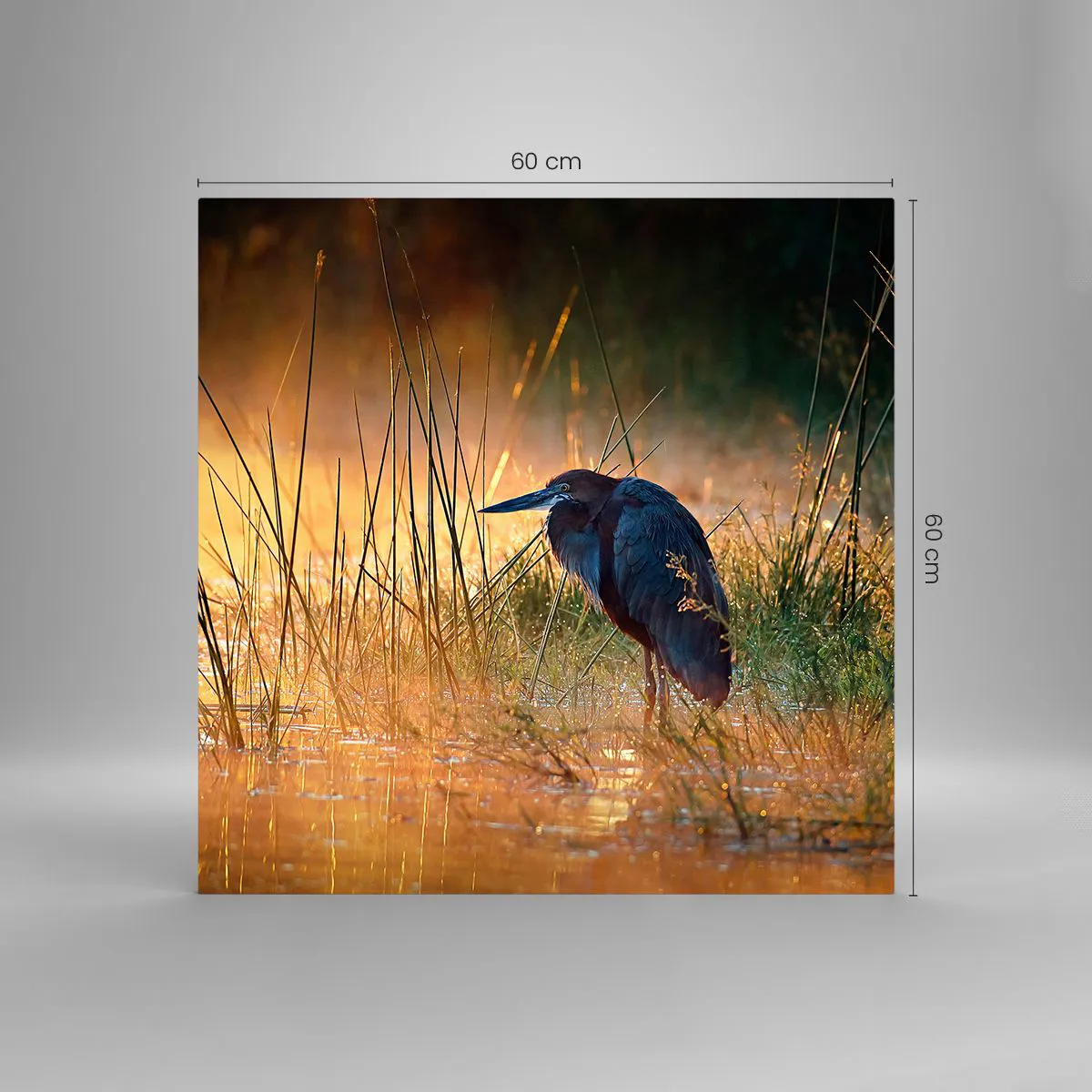 Üveg kép - Hagyjatok békén ezekkel a fotókkal - 60x60 cm