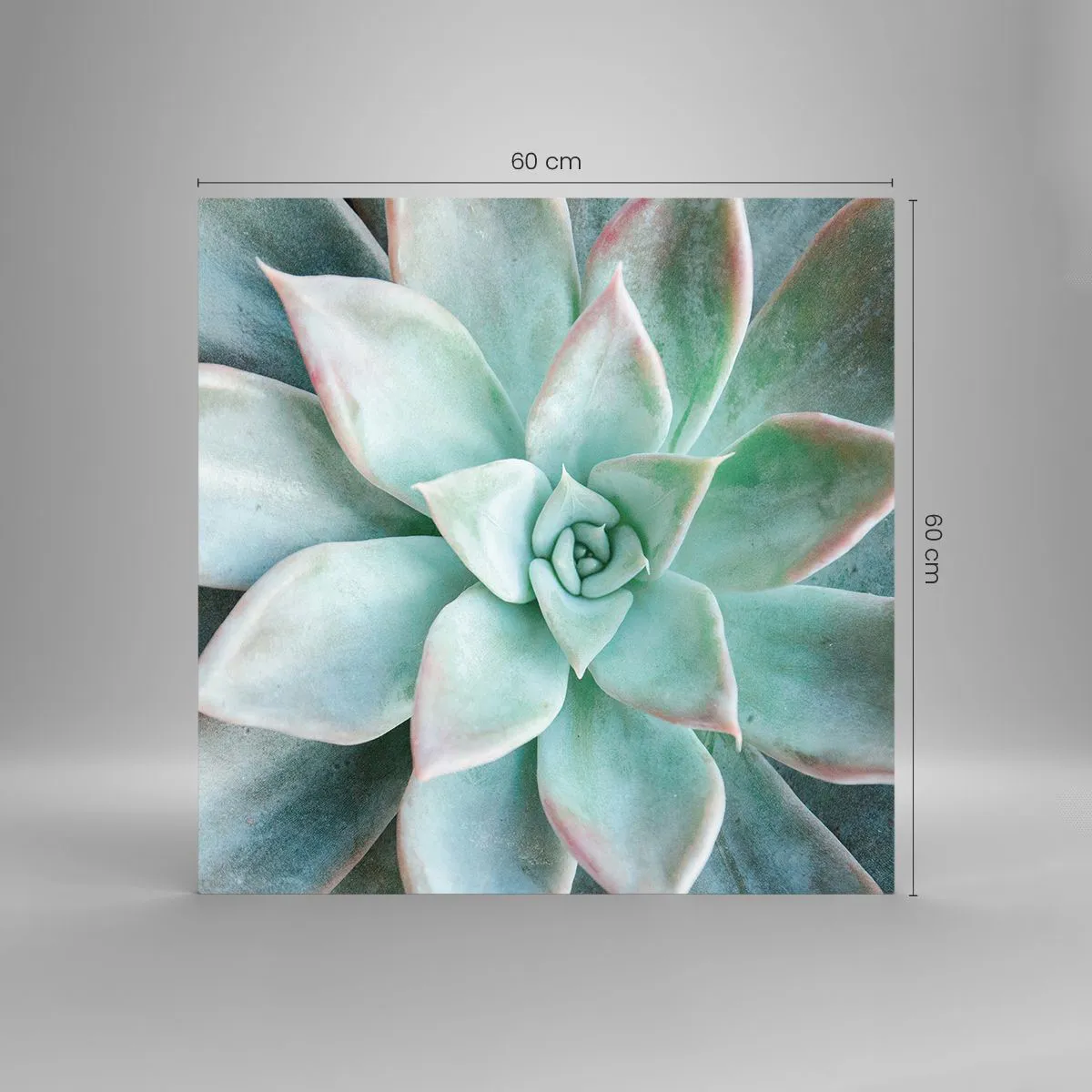 Obraz na skle - Srdce pouště - 60x60 cm