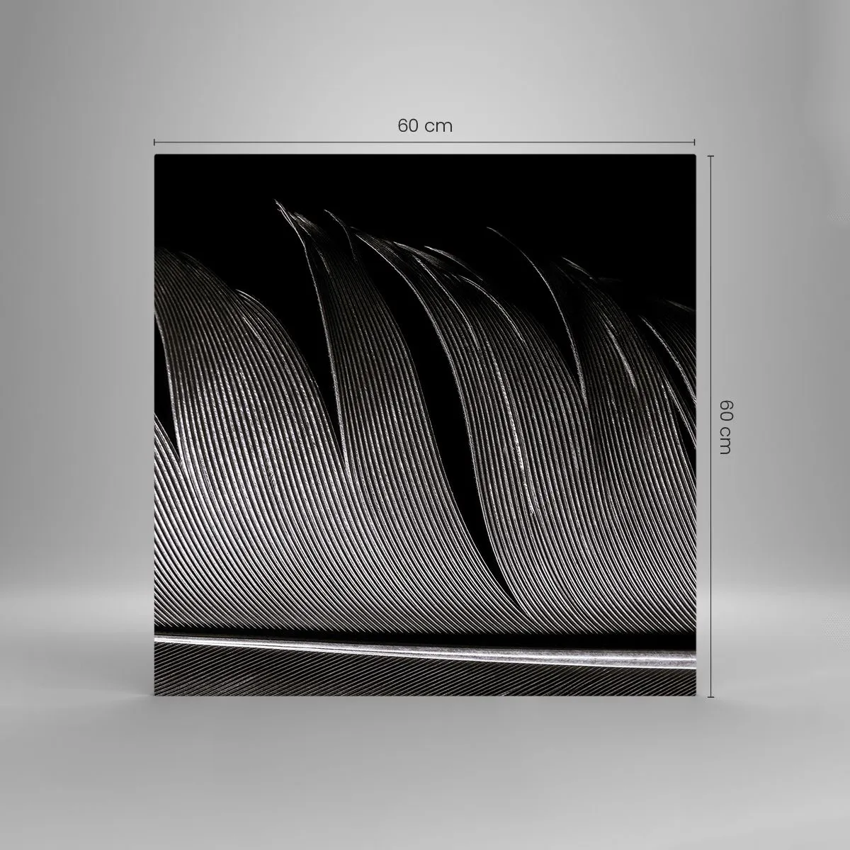 Glastavla - Bild på glas - Fjäder - en underbar konstruktion - 60x60 cm