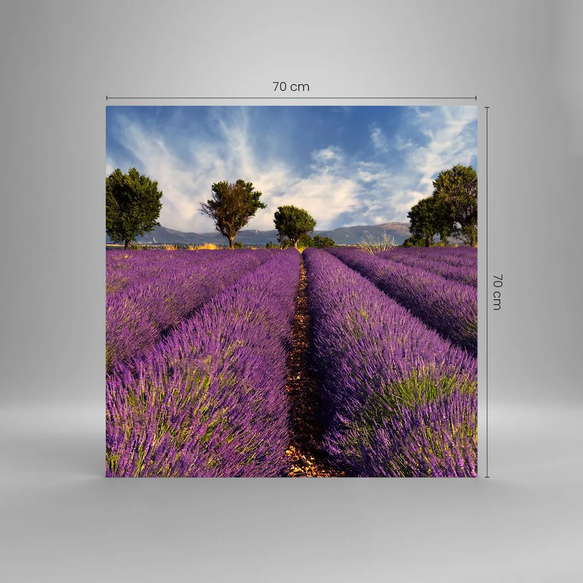 Glass picture - Lavender Fields - 70x70 cm