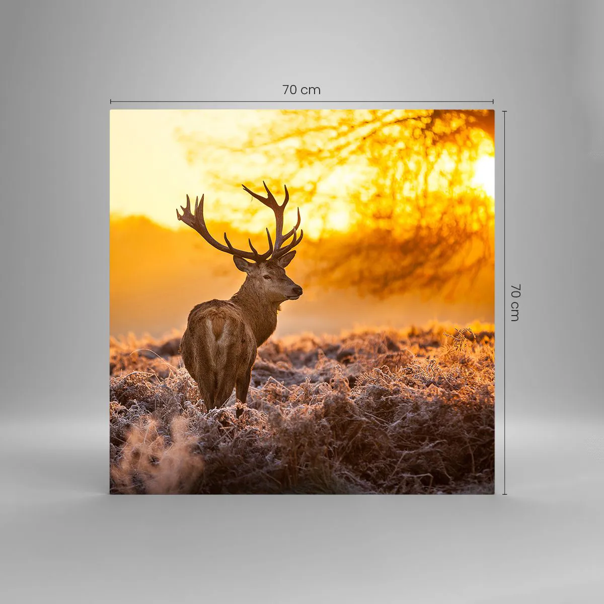 Impression sur verre - Image sur verre - Roi de la forêt automnal - 70x70 cm