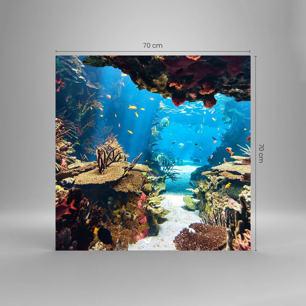 Impression sur verre - Image sur verre - Tu ne l'as même pas rêvé - 70x70 cm