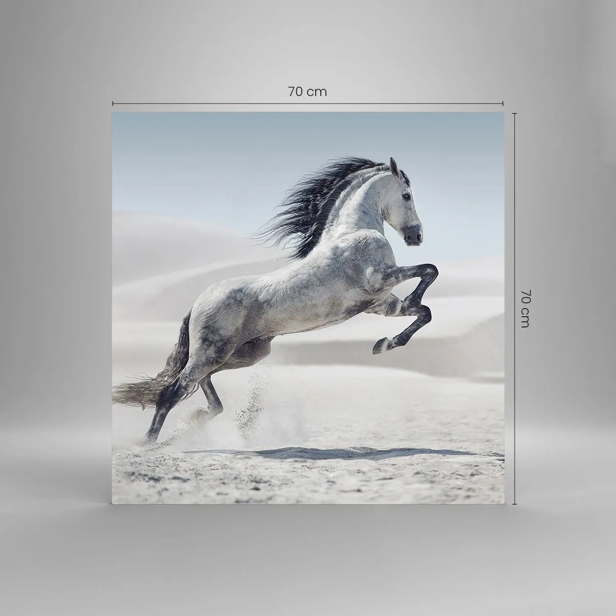 Obraz na skle - Arabský kníže - 70x70 cm