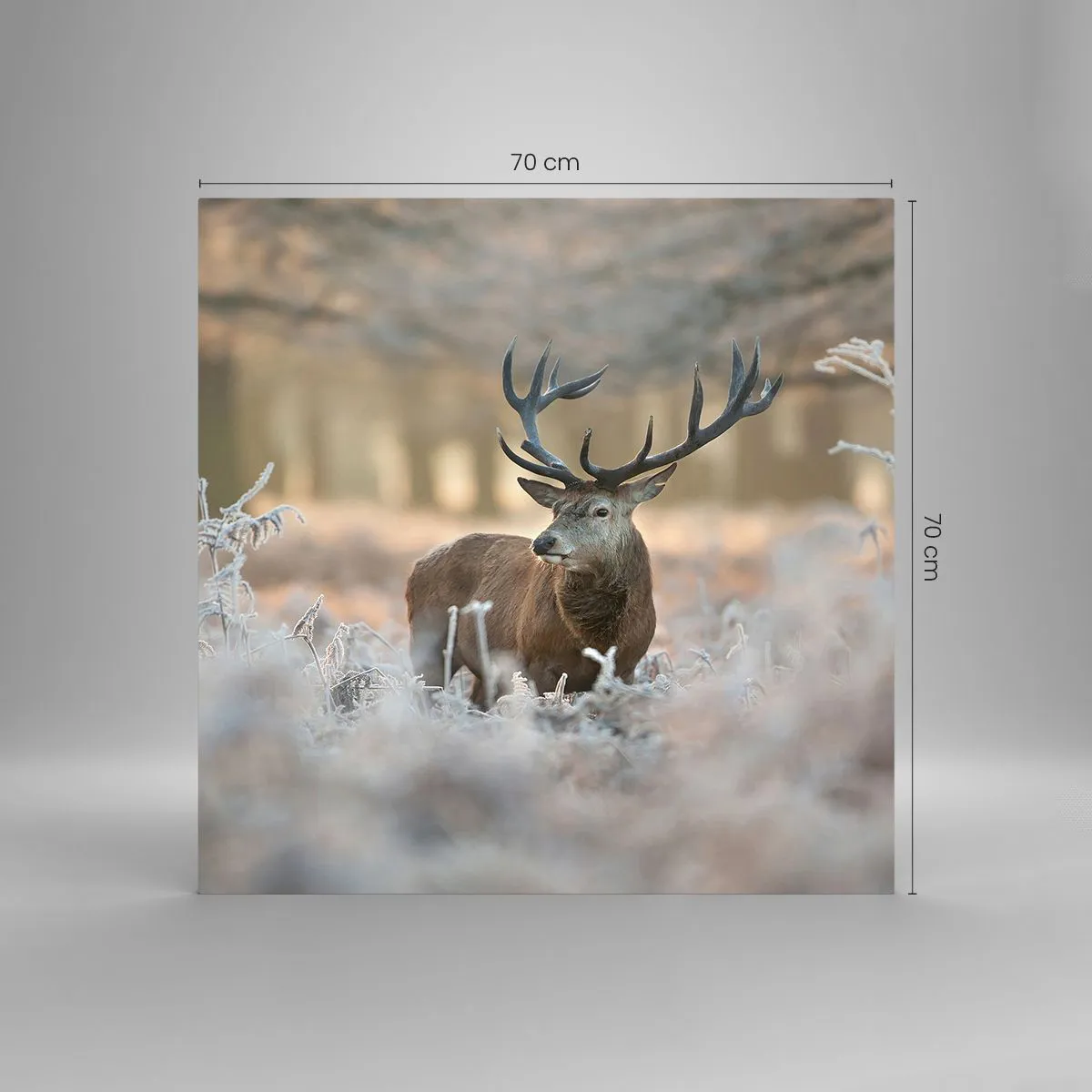 Quadro su vetro - Fresco mattino - 70x70 cm