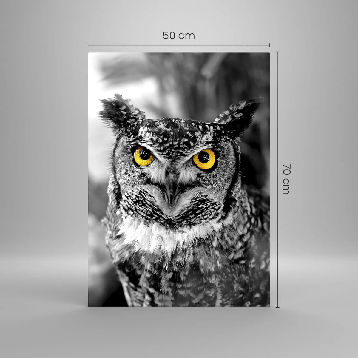 Obraz na szkle - Sowa z żółtymi oczami na czarno-białym tle - 50x70cm - Nic się nie ukryje - Nowoczesna dekoracja ścienna do salonu, kuchni i sypialni ARTTOR