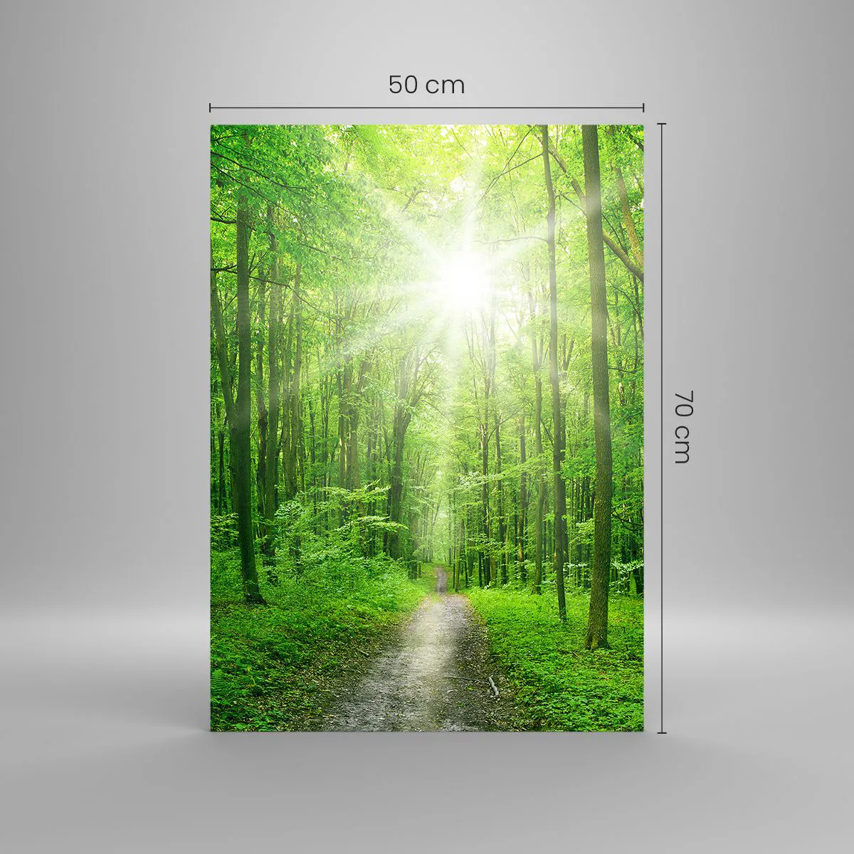 Cuadro sobre vidrio - Impresiones sobre Vidrio - Un camino en el bosque iluminado por los rayos del sol. - 50x70cm - Catedral verde - Decoración de pared moderna para salón y dormitorio ARTTOR