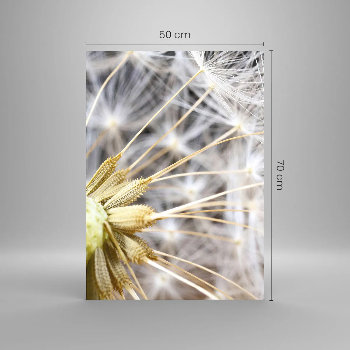 Impression sur verre - Image sur verre - Gros plan d'un pissenlit aux graines délicates - 50x70cm - Juste avant le départ - Décoration murale moderne pour le salon et la chambre ARTTOR