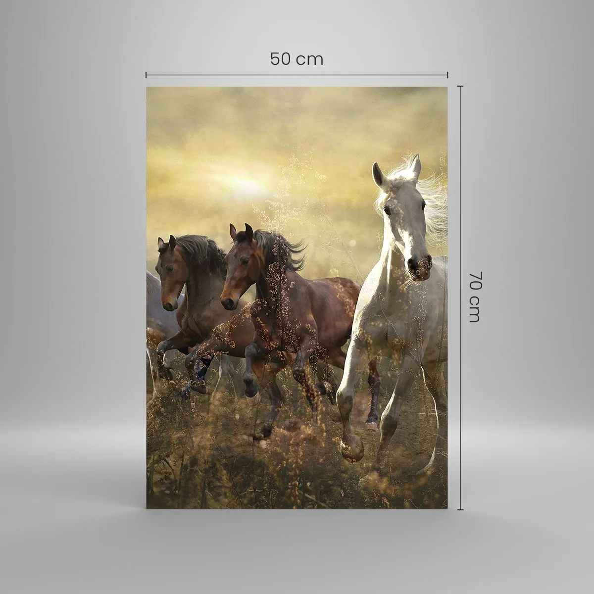 Üveg kép - Éljen a szabadság! - 50x70 cm