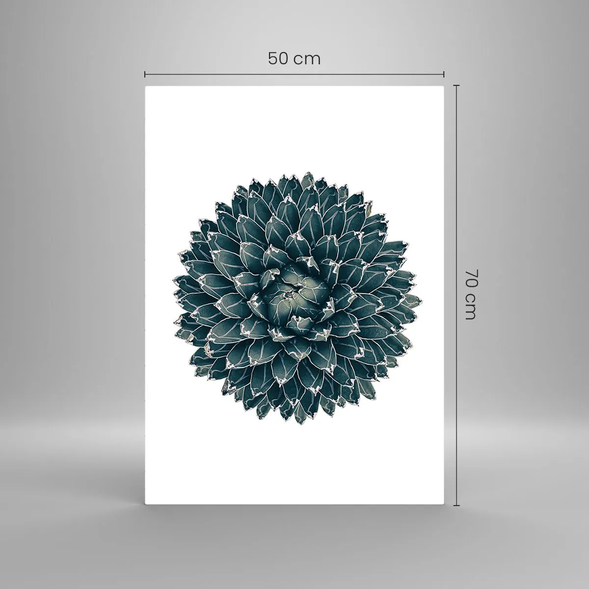 Obraz na szkle - Symetryczny wzór rośliny sukulenta na białym tle - 50x70cm - Gwiazda pustyni - Nowoczesna dekoracja ścienna do salonu, kuchni i sypialni ARTTOR