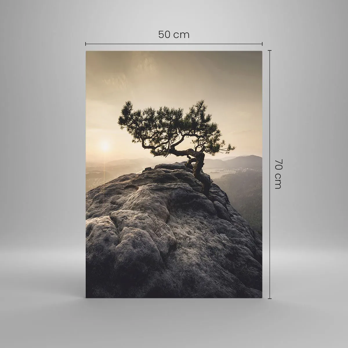 Üveg kép - Az élet mindig győz - 50x70 cm