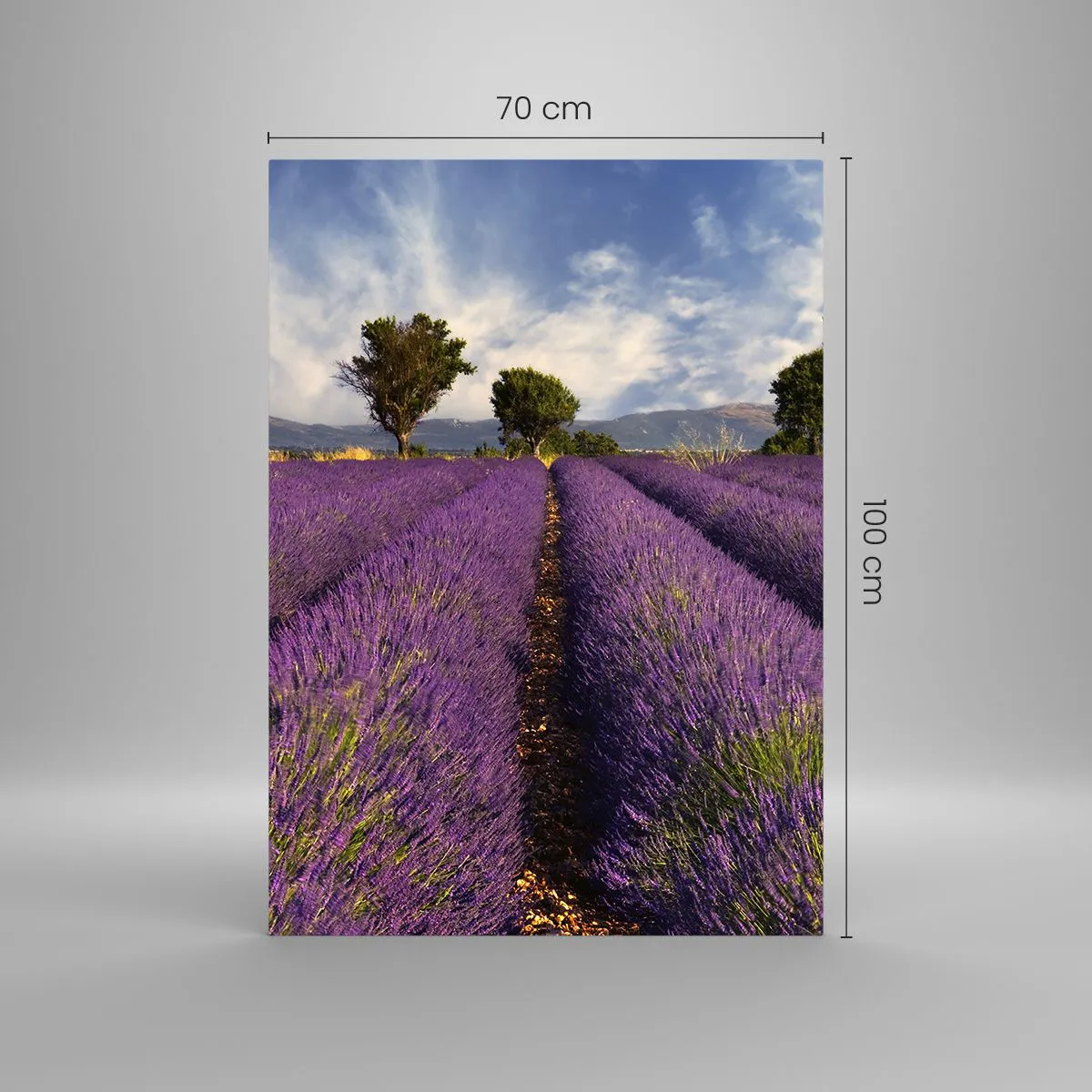 Üveg kép - Levendula mezők - 70x100 cm
