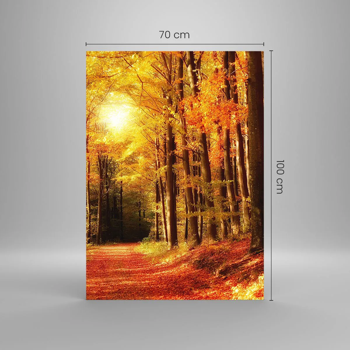 Quadro su vetro - Foresta autunnale con raggi di sole che brillano attraverso gli alberi - 70x100cm - Autunno dorato nella via nel bosco - Decorazione murale moderna per soggiorno e camera da letto ARTTOR