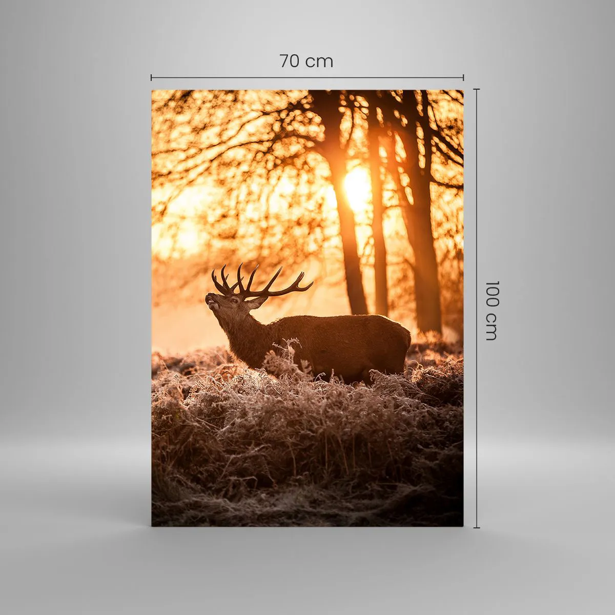 Impression sur verre - Image sur verre - Deux cerfs au coucher du soleil dans un paysage hivernal - 70x100cm - Le rêve d'un chasseur - Décoration murale moderne pour le salon et la chambre ARTTOR