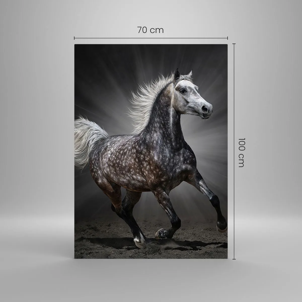 Glass picture - Grey Is Beautiful - 70x100 cm