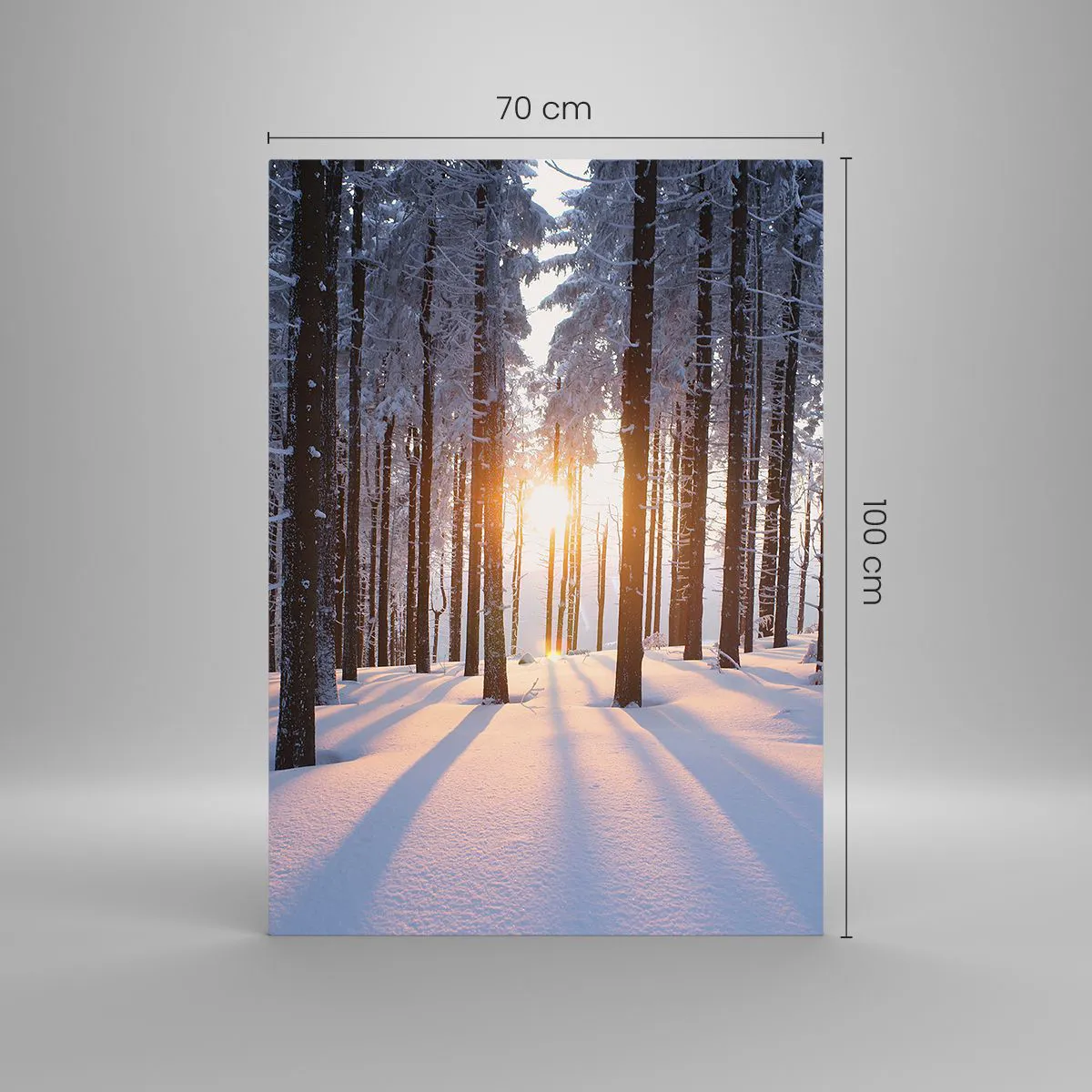 Cuadro sobre vidrio - Impresiones sobre Vidrio - Bosque invernal iluminado por los rayos del sol. - 70x100cm - Claramente en blanco y negro - Decoración de pared moderna para salón y dormitorio ARTTOR