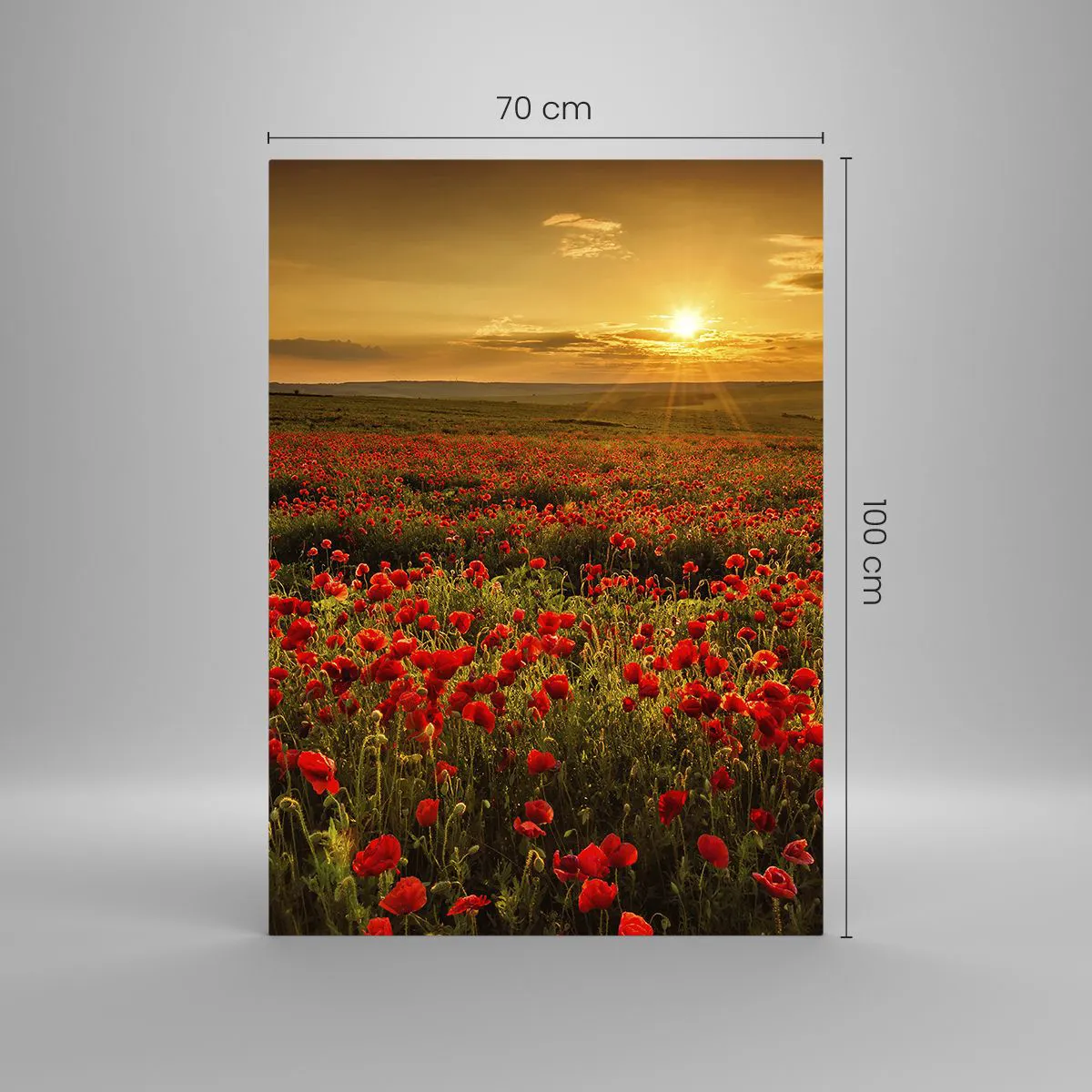Cuadro sobre vidrio - Impresiones sobre Vidrio - Un campo de amapolas rojas bajo el resplandor del sol poniente. - 70x100cm - Entre los campos de flores - Decoración de pared moderna para salón y dormitorio ARTTOR