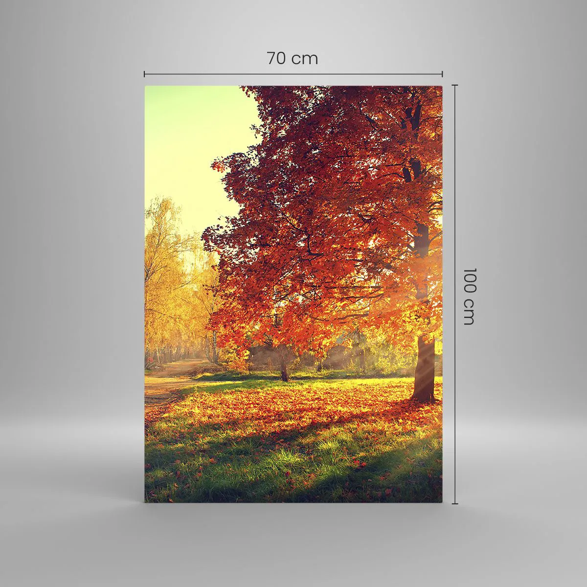 Tablou pe sticlă - Roșcatul este frumos - 70x100 cm