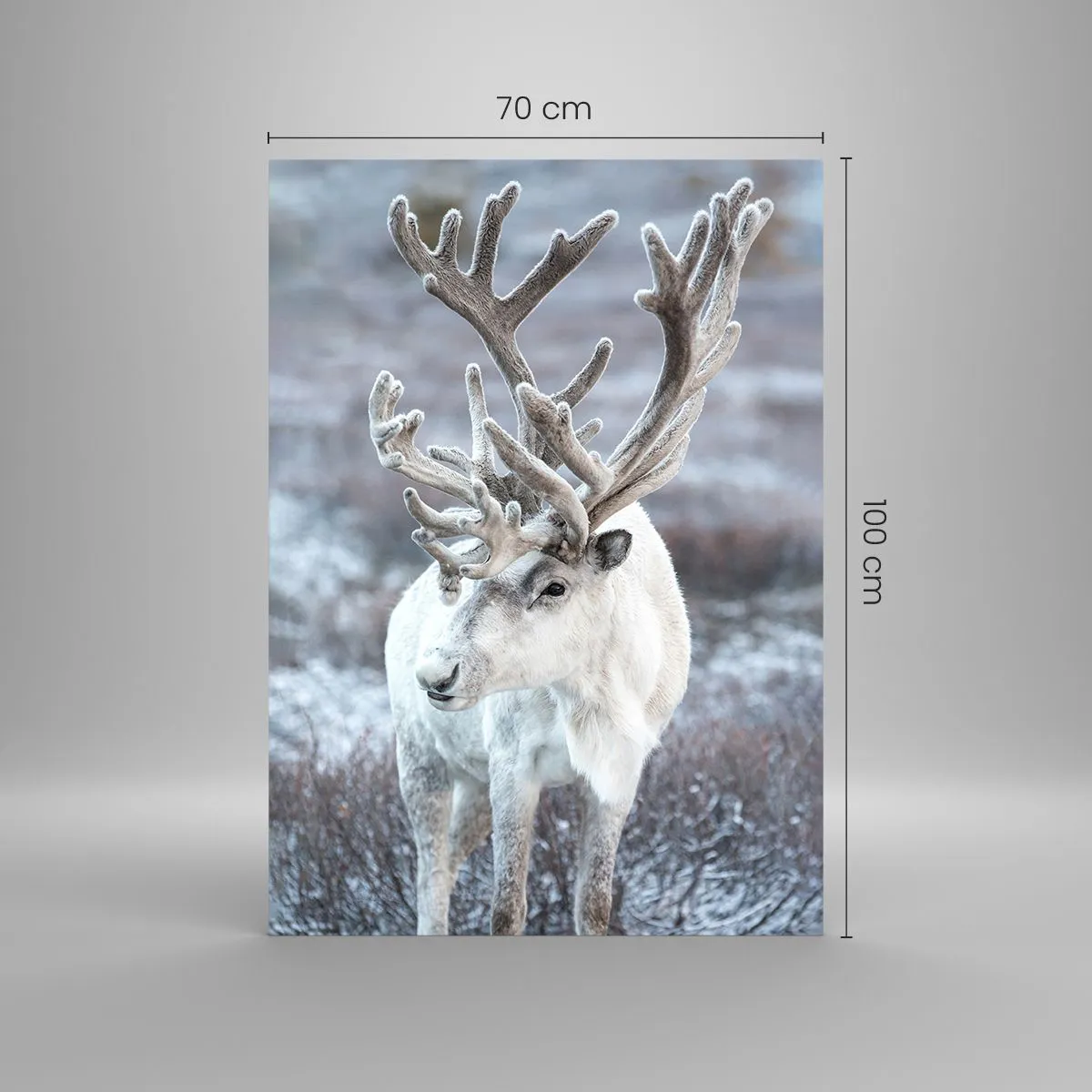 Obraz na szkle - Biały renifer na tle zimowego krajobrazu - 70x100cm - Portret w słońcu - Nowoczesna dekoracja ścienna do salonu i sypialni ARTTOR
