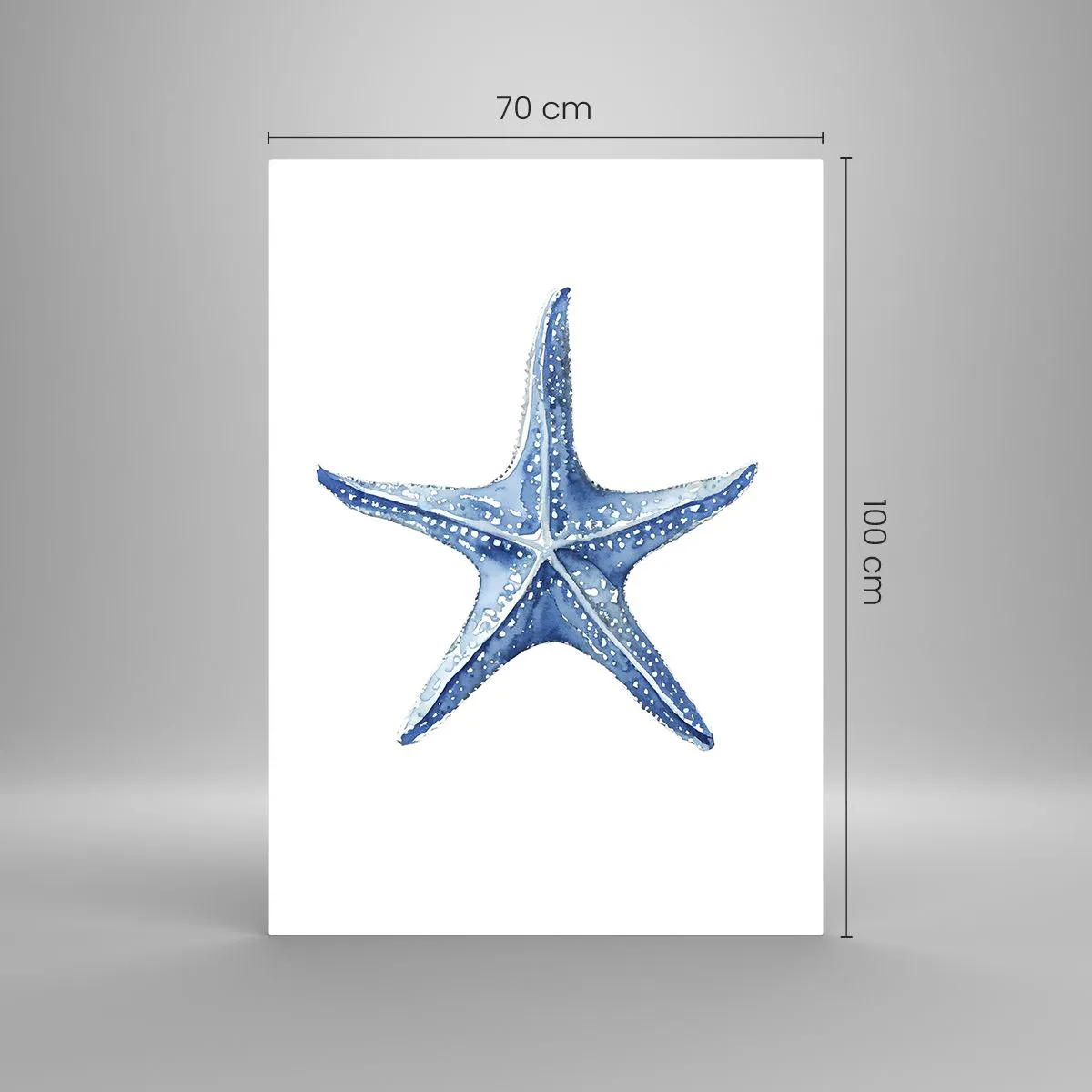 Obraz na skle - Hvězda moře - 70x100 cm