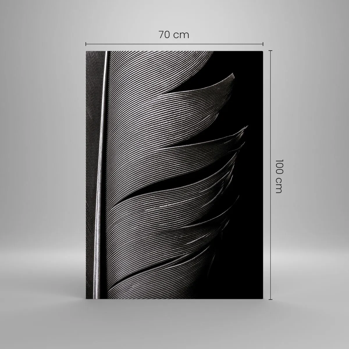 Glastavla - Bild på glas - Fjäder - en underbar konstruktion - 70x100 cm