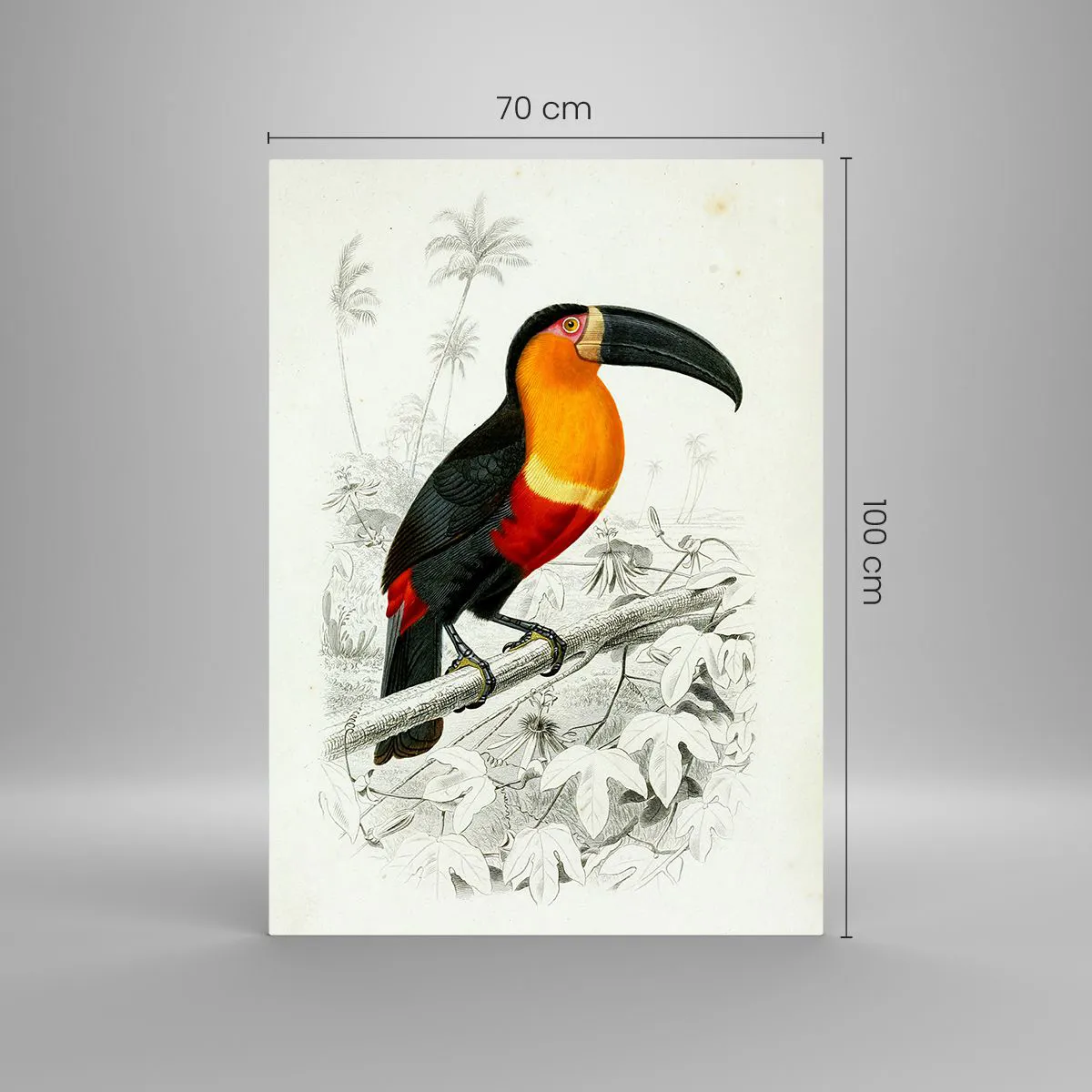 Glastavla - Bild på glas - Fåglarnas färger - 70x100 cm