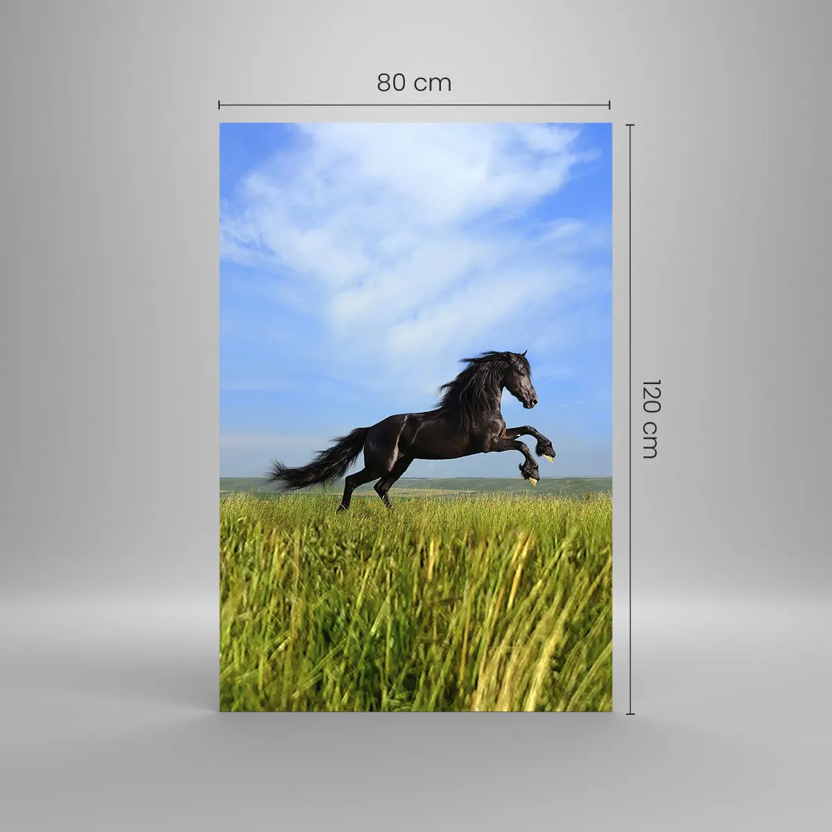Impression sur verre - Image sur verre - Un cheval noir courant contre un ciel bleu et une prairie verte - 80x120cm - Un manifeste de liberté passionnant - Décoration murale moderne pour le salon et la chambre ARTTOR