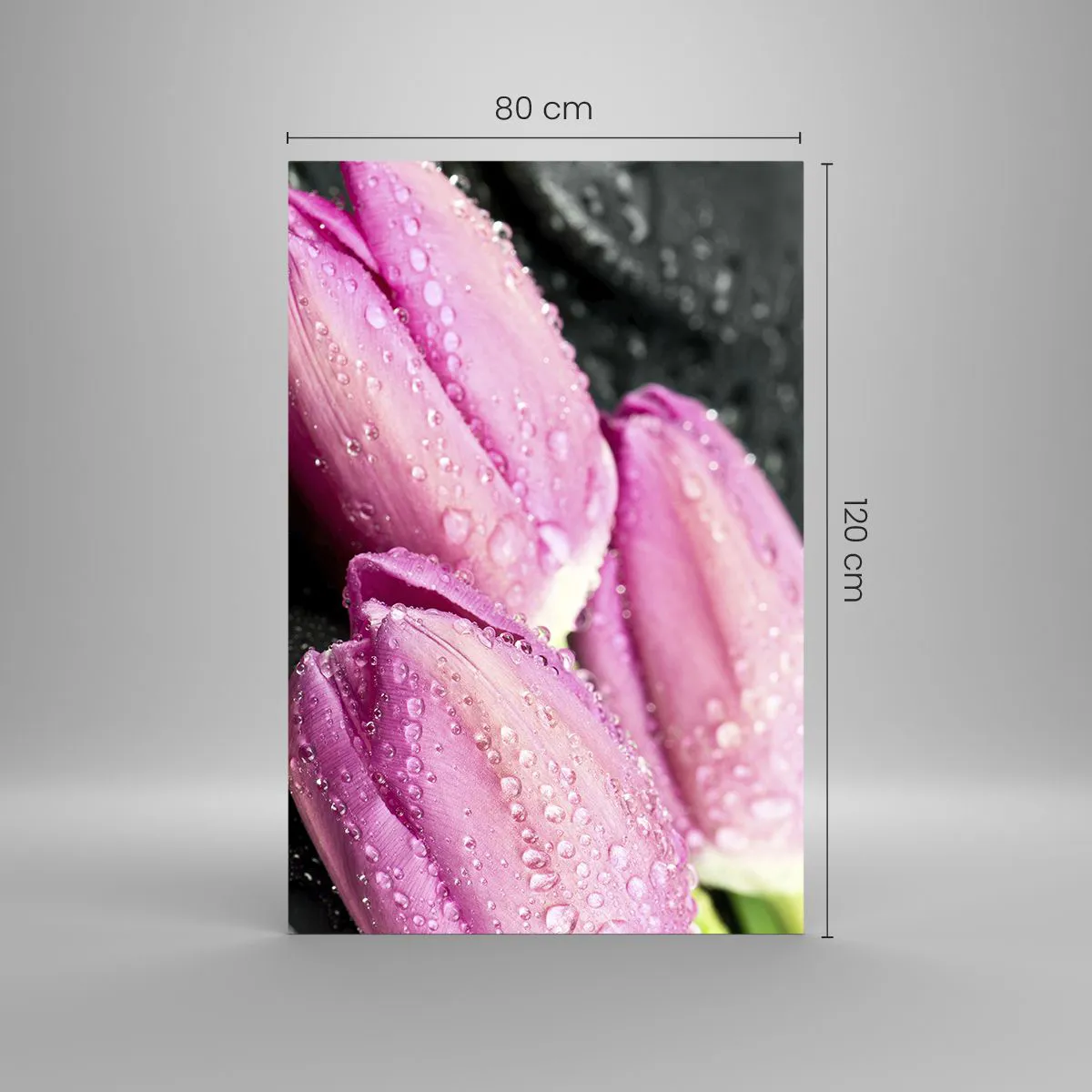 Impression sur verre - Image sur verre - Trois tulipes roses avec des gouttes d'eau sur fond noir - 80x120cm - Lilas trois sur une pierre noire - Décoration murale moderne pour le salon et la chambre ARTTOR