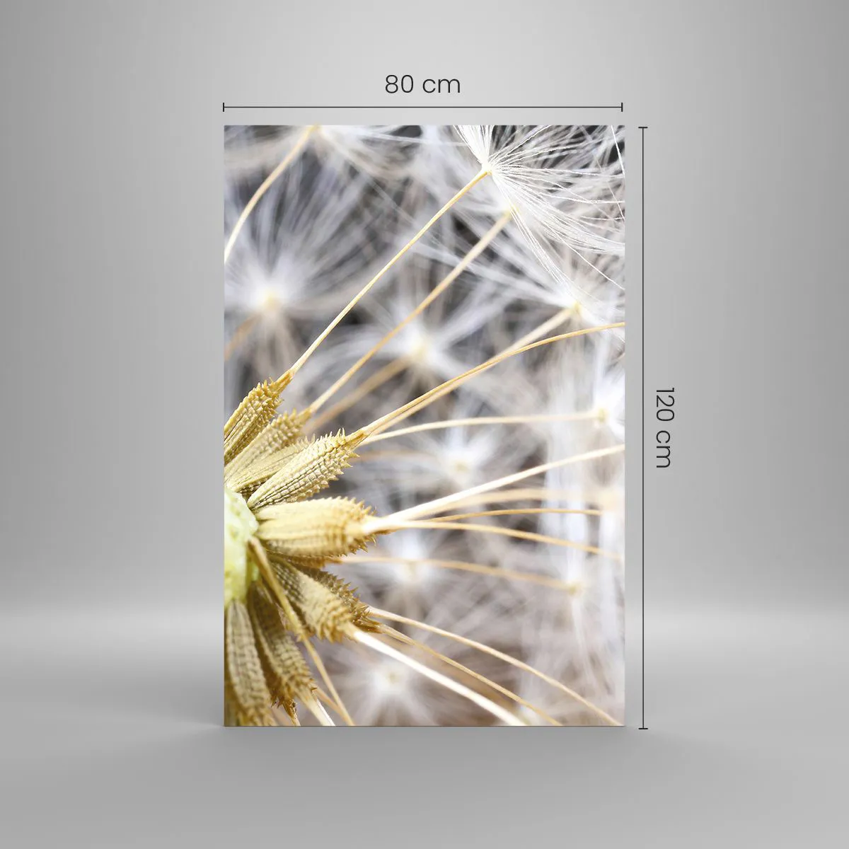 Tablou pe sticlă - Chiar înainte de zbor... - 80x120 cm