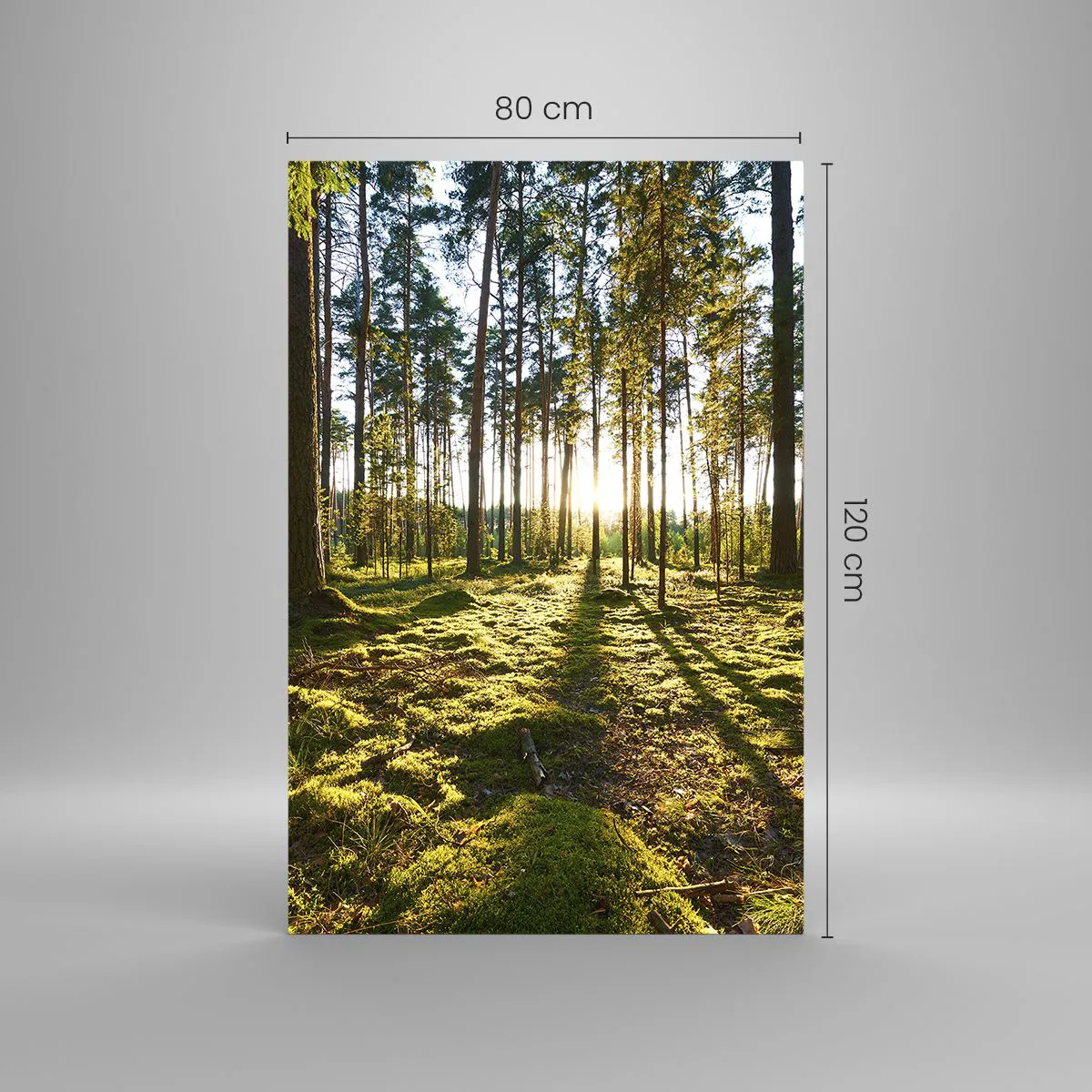 Quadro em vidro - ...Além das sete florestas - 80x120 cm