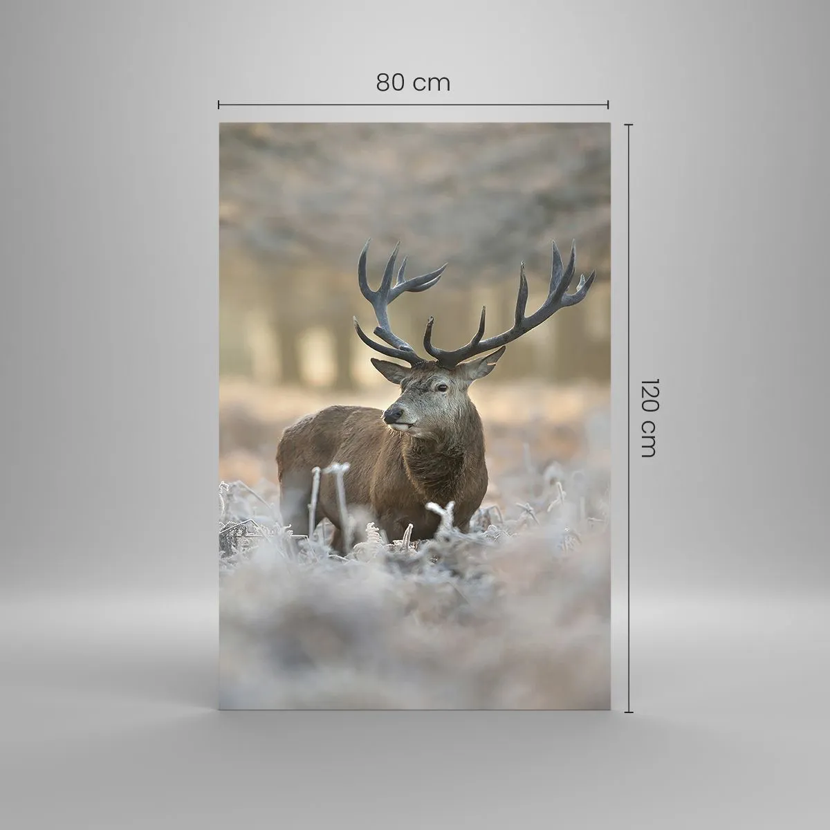 Cuadro sobre vidrio - Impresiones sobre Vidrio - Un ciervo en un claro helado en un bosque invernal con colores sutiles. - 80x120cm - Una mañana fresca - Decoración de pared moderna para salón y dormitorio ARTTOR