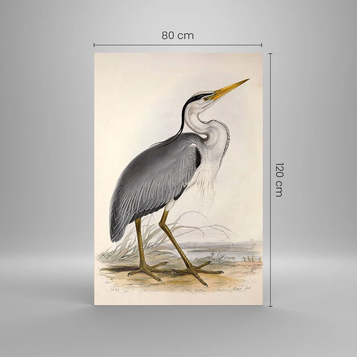 Glasbild - Bild auf glas - Reiher Gnade - 80x120 cm