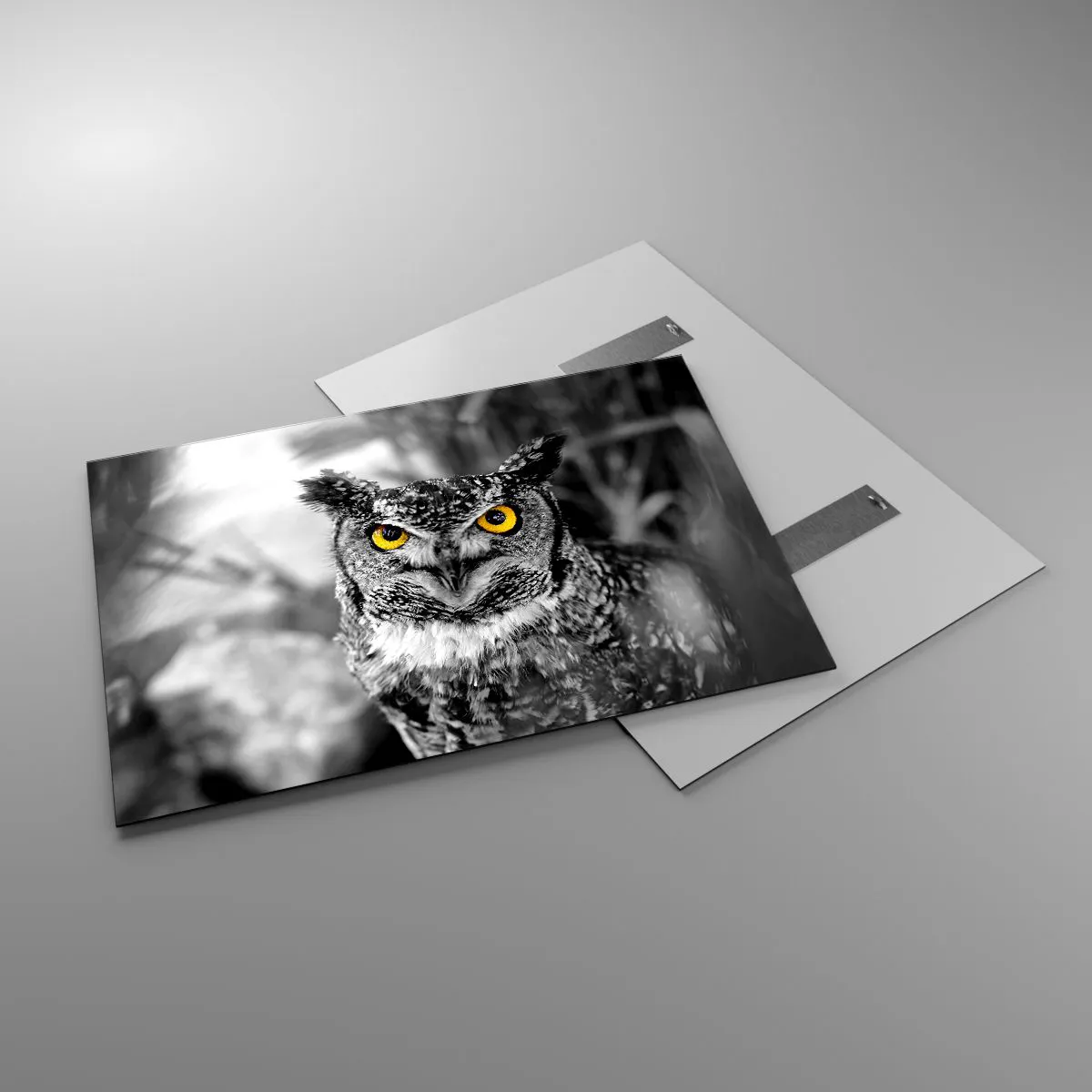 Impression sur verre - Image sur verre - Un hibou aux yeux jaunes sur fond noir et blanc - 100x70cm - Rien ne se cachera - Décoration murale moderne pour le salon et la chambre ARTTOR