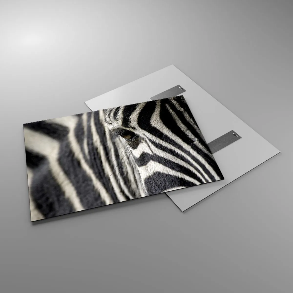 Obraz na skle - Portrét s pruhmi - 100x70 cm