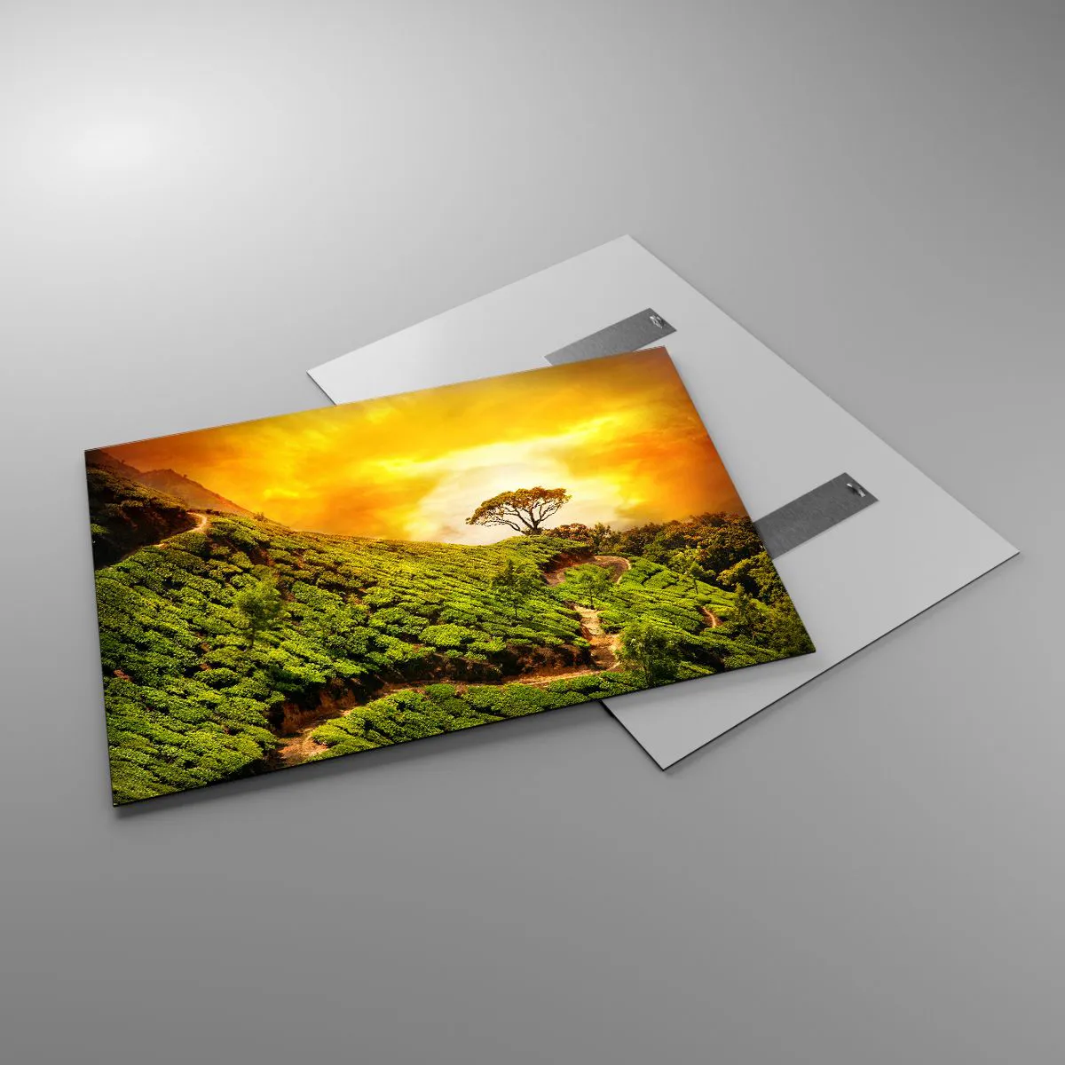 Billede på glas - En snoet sti, en grøn skråning - 100x70 cm