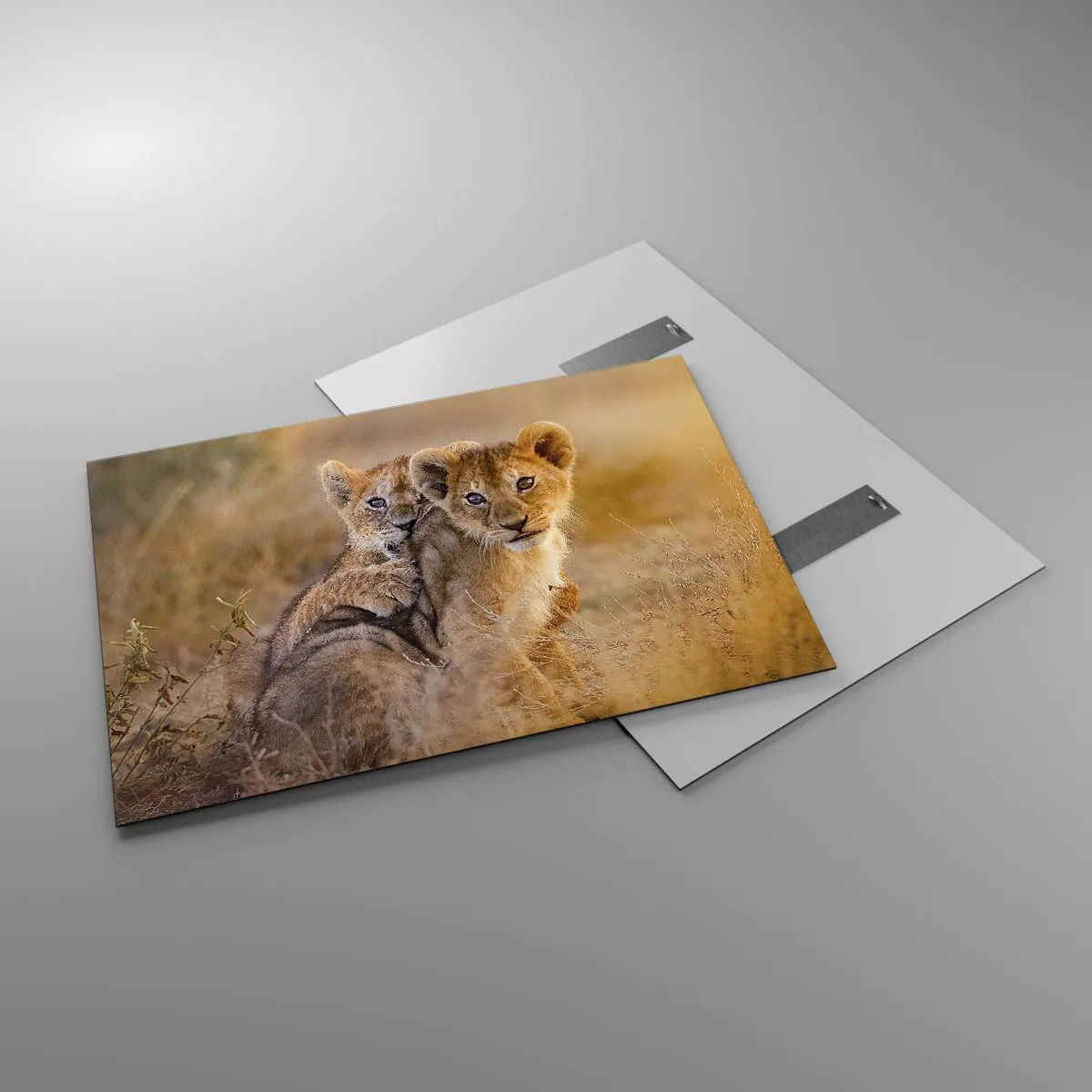 Glasbild - Bild auf glas - Zwei junge Löwenbabys in einer natürlichen Savanne - 100x70cm - Bitte nicht stören! Wir haben Spaß - Moderne Wanddekoration für Wohnzimmer und Schlafzimmer ARTTOR