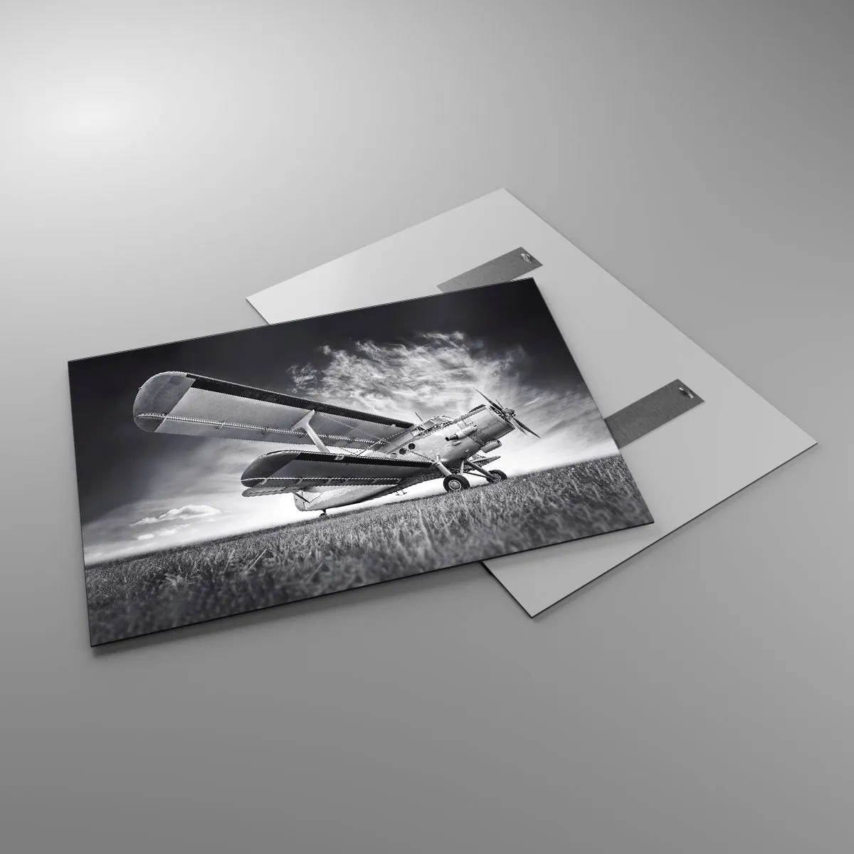 Quadro em vidro - Andarilho alado - 100x70 cm