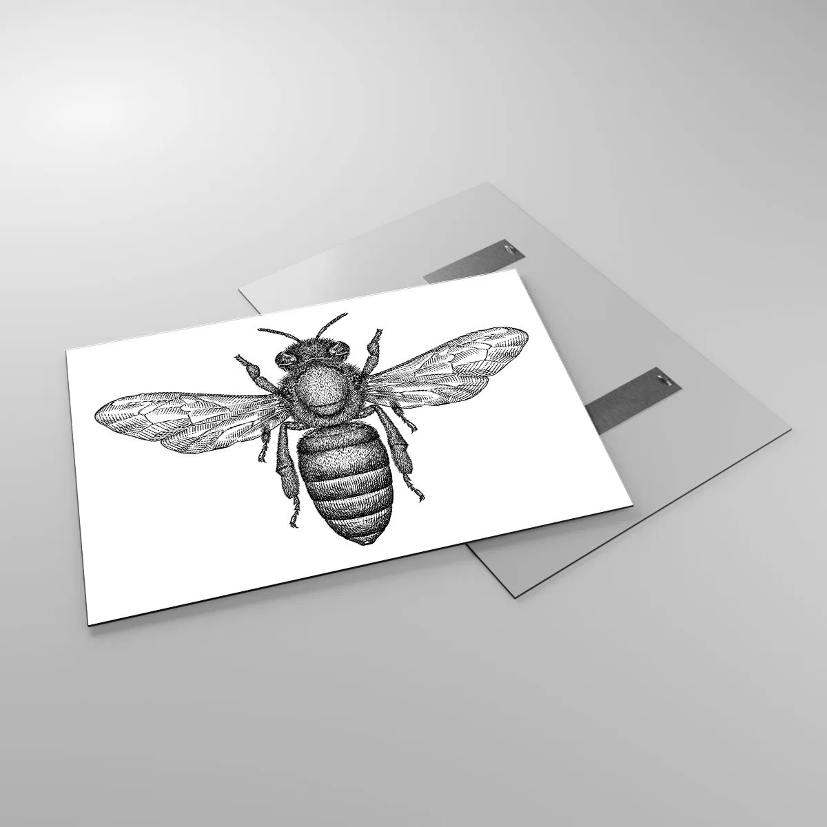 Cuadro sobre vidrio - Impresiones sobre Vidrio - Ilustración detallada de una abeja retro sobre un fondo blanco. - 100x70cm - Retrato de insecto - Decoración de pared moderna para salón y dormitorio ARTTOR