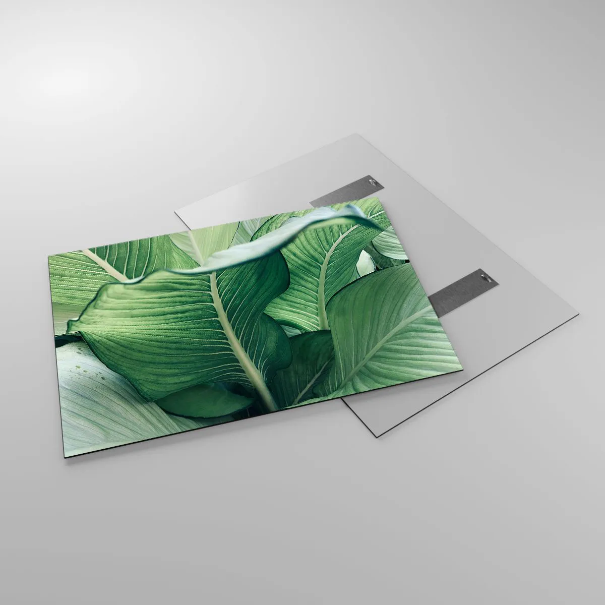 Impression sur verre - Image sur verre - Feuilles vertes luxuriantes en gros plan et à la lumière naturelle - 100x70cm - Une vie intensément verte - Décoration murale moderne pour le salon et la chambre ARTTOR
