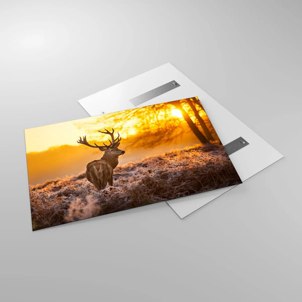 Üveg kép - Az őszi erdő királya - 120x80 cm