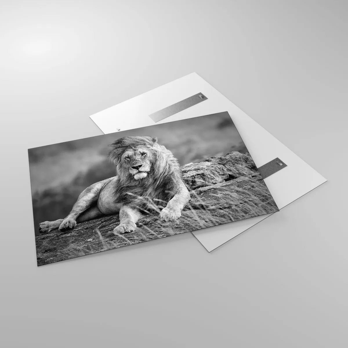 Impression sur verre - Image sur verre - Un lion reposant sur un rocher dans un paysage monochrome. - 120x80cm - Sieste royale - Décoration murale moderne pour le salon et la chambre ARTTOR
