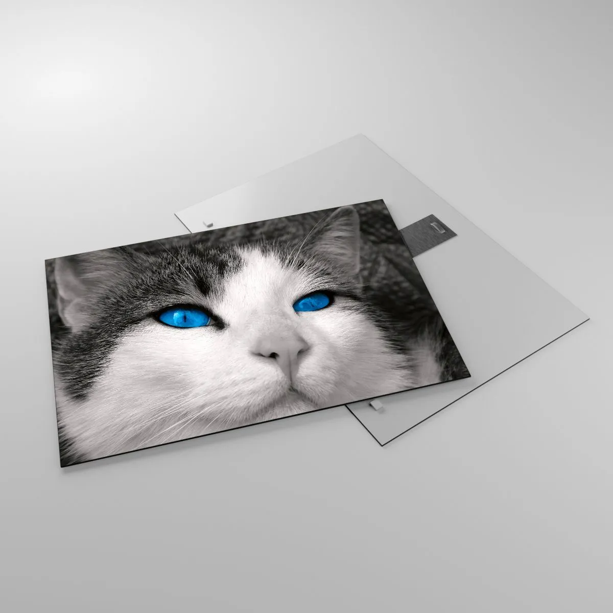 Quadro em vidro - Uma foto em preto e branco de um gato com olhos azuis intensos. - 70x50cm - Raridade de olhos azuis - Decoração de parede moderna para a sala de estar e quarto ARTTOR