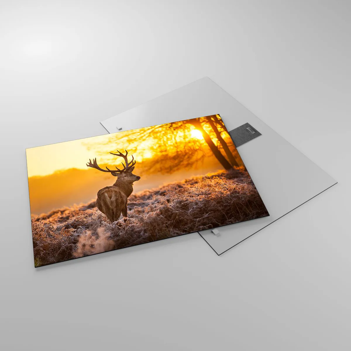 Cuadro sobre vidrio - Impresiones sobre Vidrio - Ciervos bajo los rayos del sol naciente - 70x50cm - Rey del bosque de otoño - Decoración de pared moderna para salón y dormitorio ARTTOR